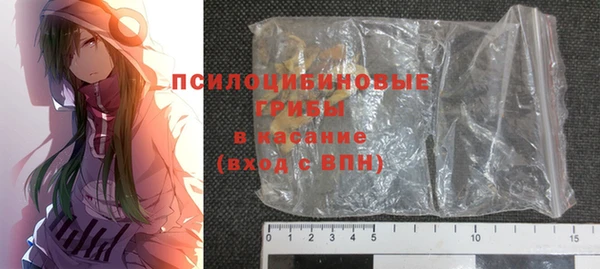не бодяженный Горно-Алтайск