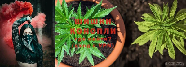 не бодяженный Горно-Алтайск