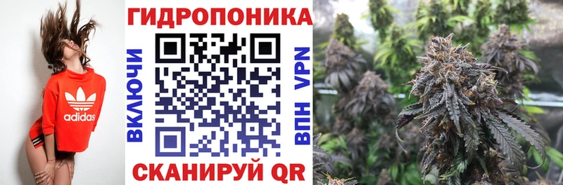 Каннабис конопля  Меленки 